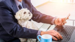 在宅勤務を始めてネット環境の見直しを考えた人はどのくらい？